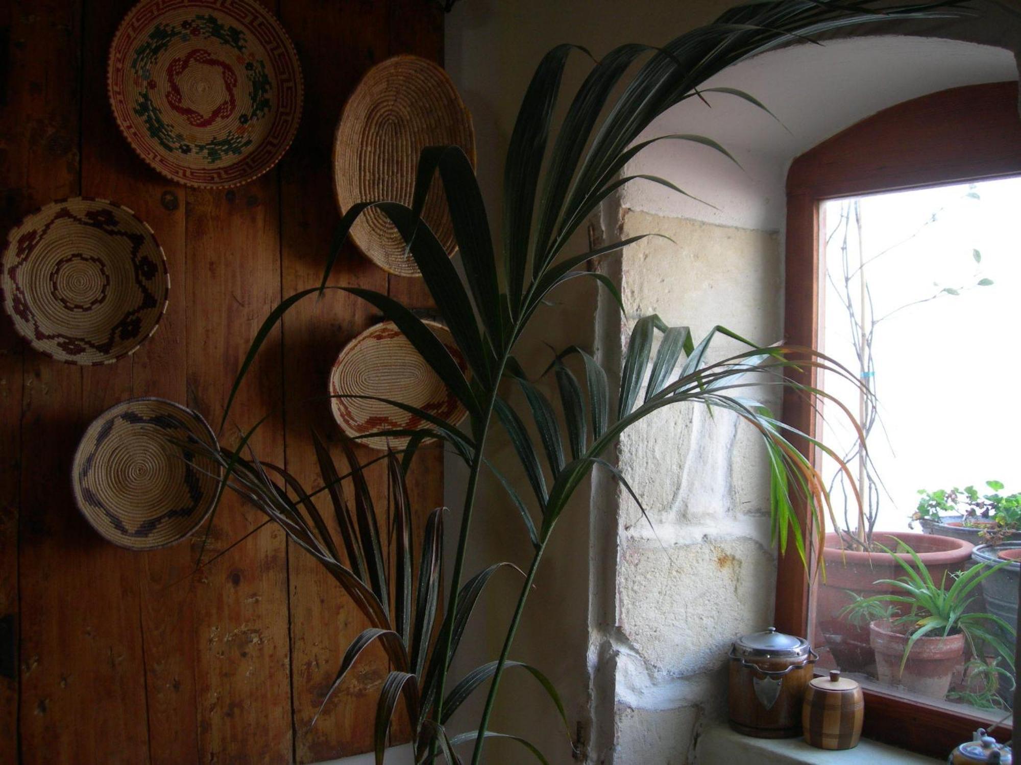 Piazza San Pantaleo Bed & Breakfast Sorso Dış mekan fotoğraf